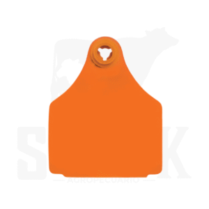 ARETE LARGE ARDES