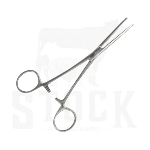 PINZA ROCHESTER