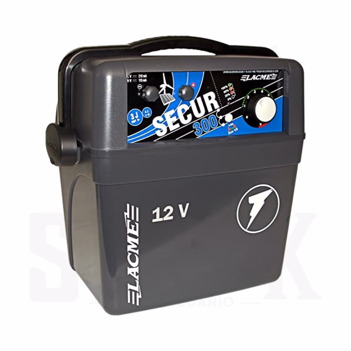 SECUR 300