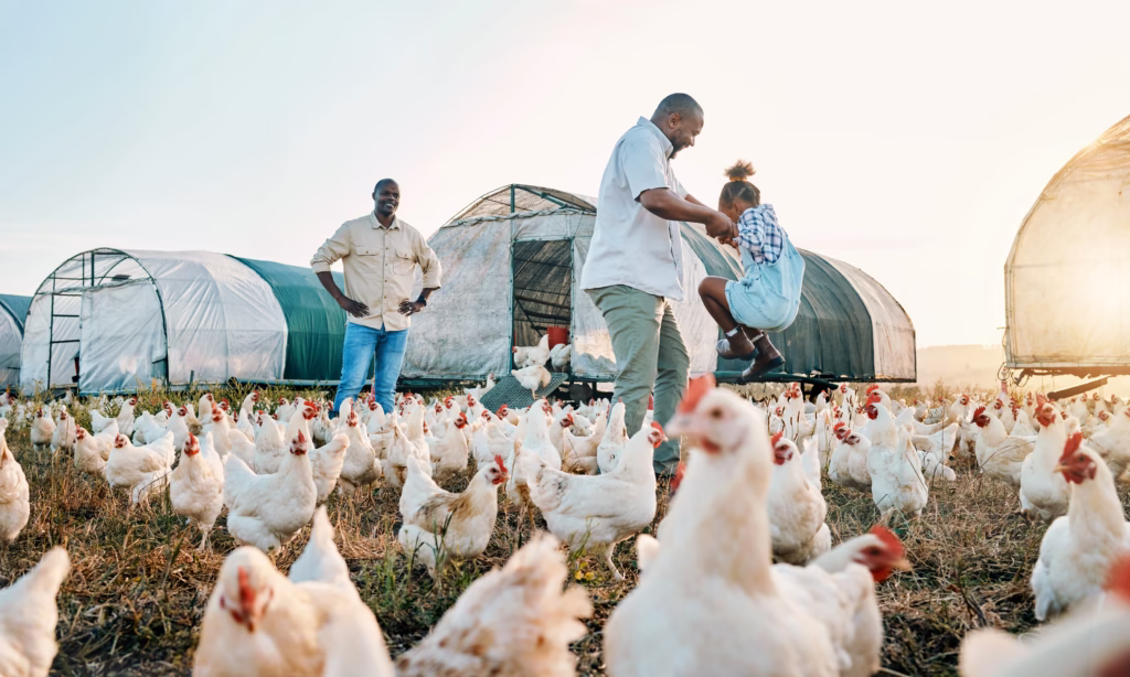 Fotografía de dos hombres y una niña al aire libre junto a su producción avícola con productos para aves.