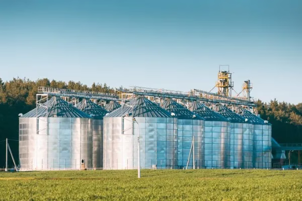 Fotografía de varias cubiertas de silos metálicas ubicadas en el pasto al aire libre y con árboles de fondo.