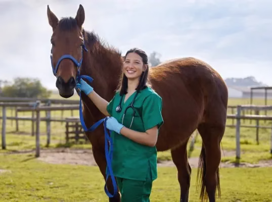 Fotografía de una mujer veterinaria de pie a lado de un ejemplar de equino color café con un lazo azul.