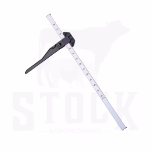 REGLA PARA MEDIR BECERRAS